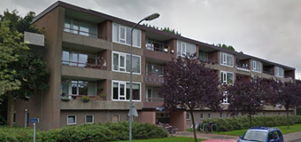 duifhuis resized.png